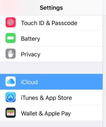 Settings select iCloud
