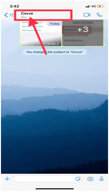 WhatsApp group chat on iPhone with an arrow pointing to the group subject