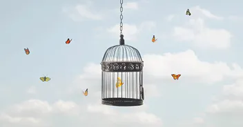 The Missed Opportunity Trap