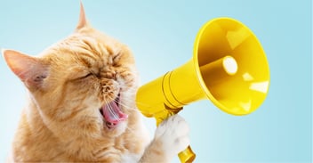 Is Your Stress Louder Than Your Voice in Professional Environments?