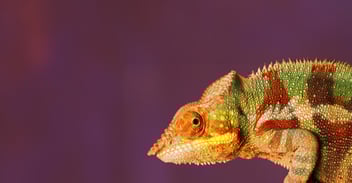 Impostor Syndrome – Are You Your Own Victim?