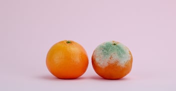 The Big Bad Monster or Your Savior?