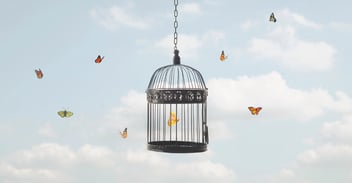 The Missed Opportunity Trap