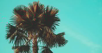 While Everyone Else Disconnects, Reconnect