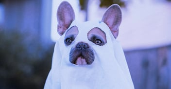 Ghosting? Reconnect Without the Awkwardness