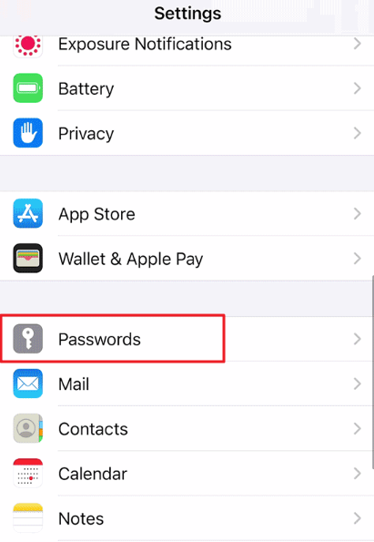 iPhone Settings with Passwords highlighted