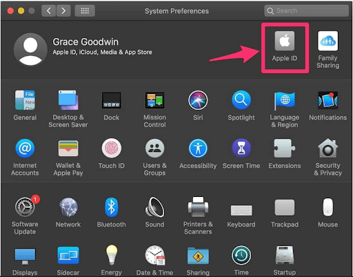 Mac System Preferences with the Apple ID icon highlighted
