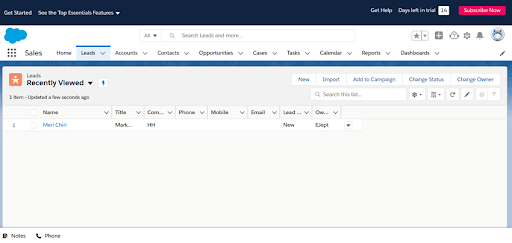 Salesforce Leads list view showing a lead with its title, company and status