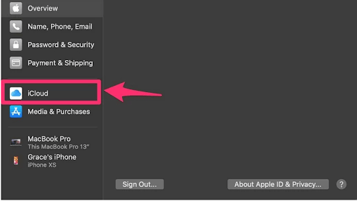 Mac Apple ID settings with iCloud highlighted in the sidebar