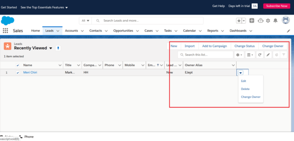 Salesforce Leads list with the lead actions highlighted: Edit, Delete and Change Owner