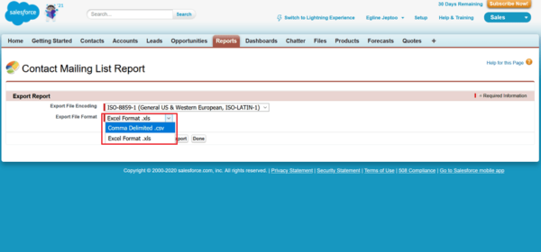 Salesforce Export Report with Comma Delimited .csv chosen as the export file format