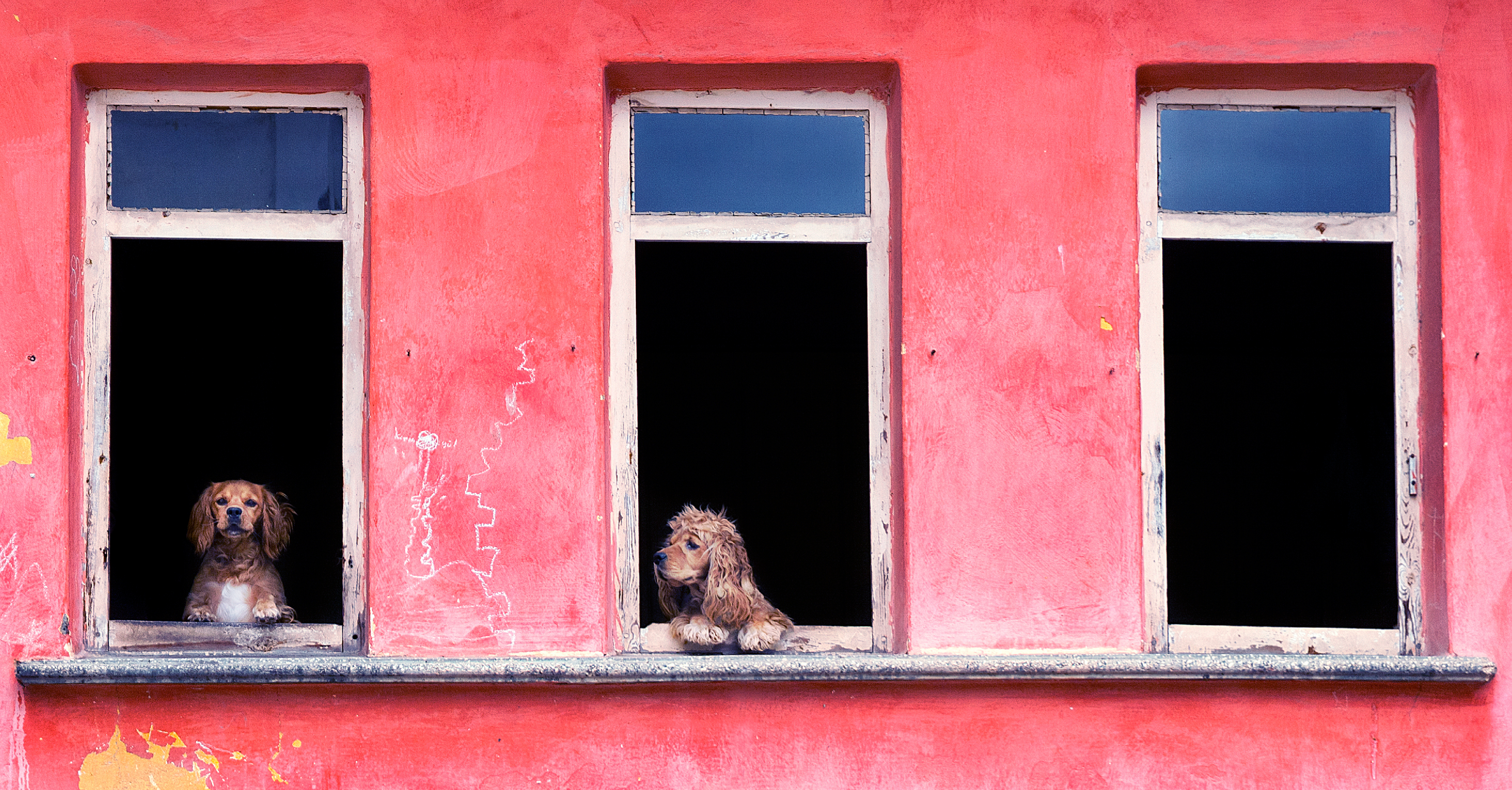 Are You Letting Distance Get in the Way of Meaningful Connections?