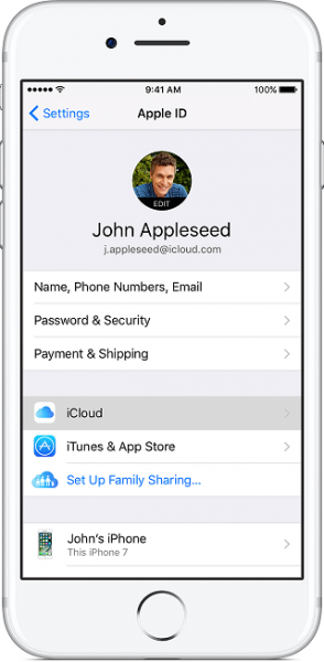 iPhone Apple ID settings with iCloud highlighted