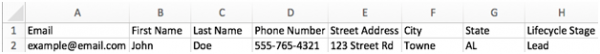 Spreadsheet with header columns for email, name, phone, address and lifecycle stage