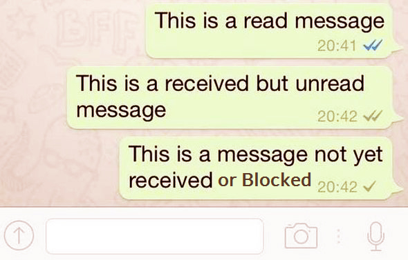 WhatsApp ticks compared: two blue ticks for read, two grey for received, one grey for not received or blocked