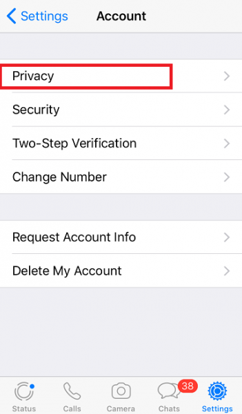 WhatsApp Account settings on iPhone with Privacy highlighted