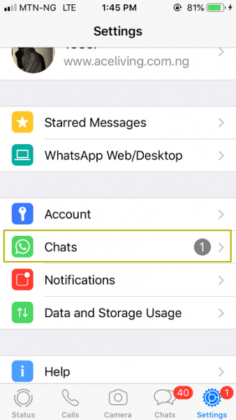WhatsApp Settings on iPhone with Chats highlighted