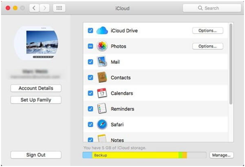 Mac iCloud preferences with Contacts ticked in the list of apps