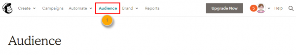 Mailchimp top menu with the Audience tab highlighted