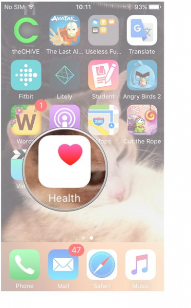 iPhone home screen with the Health app magnified