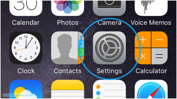 iPhone home screen with the Settings app circled