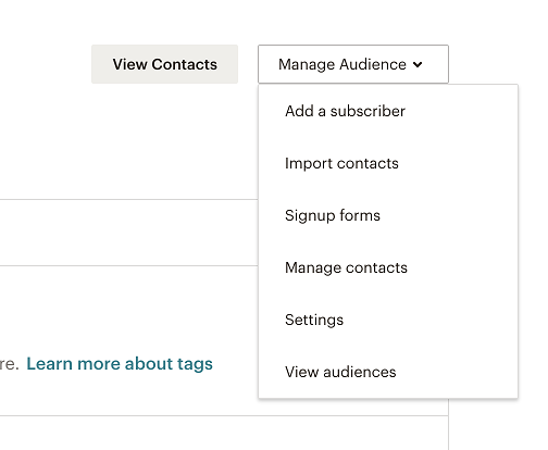 Mailchimp Manage Audience menu with Import contacts