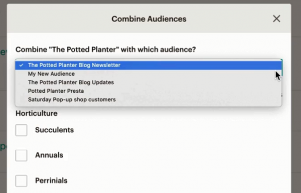 Mailchimp Combine Audiences window with the list of audiences to combine with