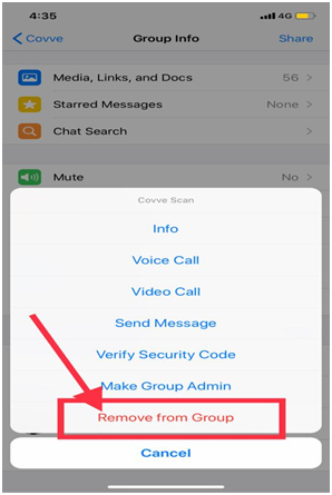 WhatsApp group participant options on iPhone with an arrow pointing to Remove from Group