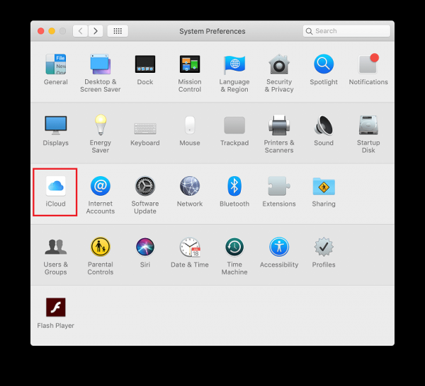 Mac System Preferences with iCloud highlighted