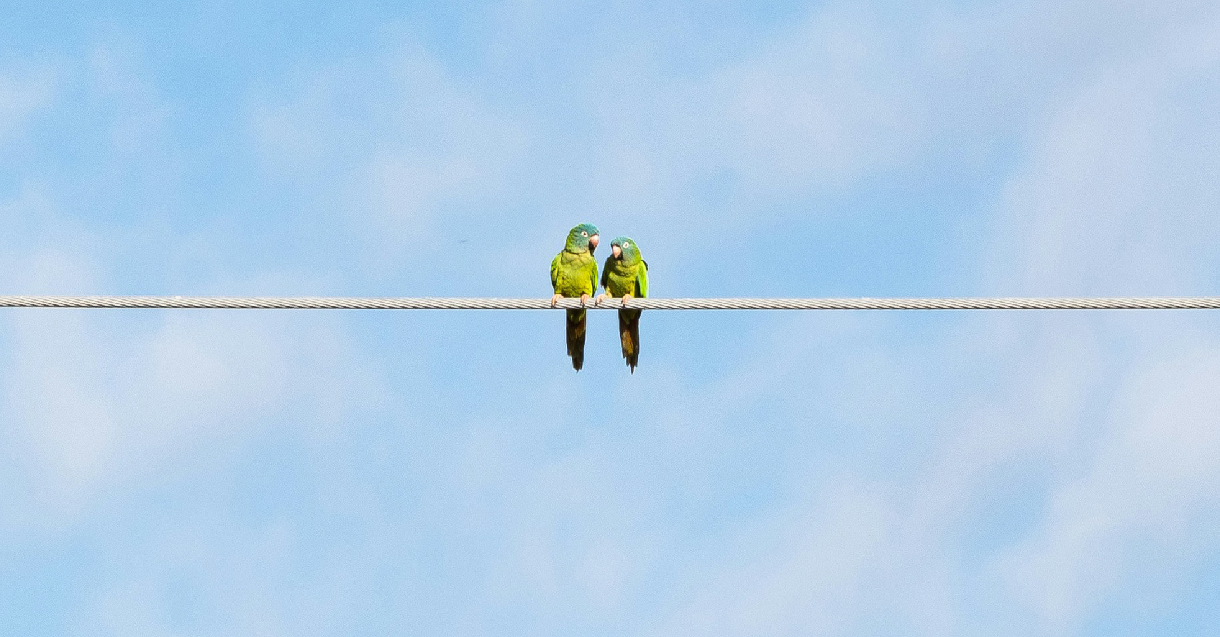 Nurture People, Not Just Prospects