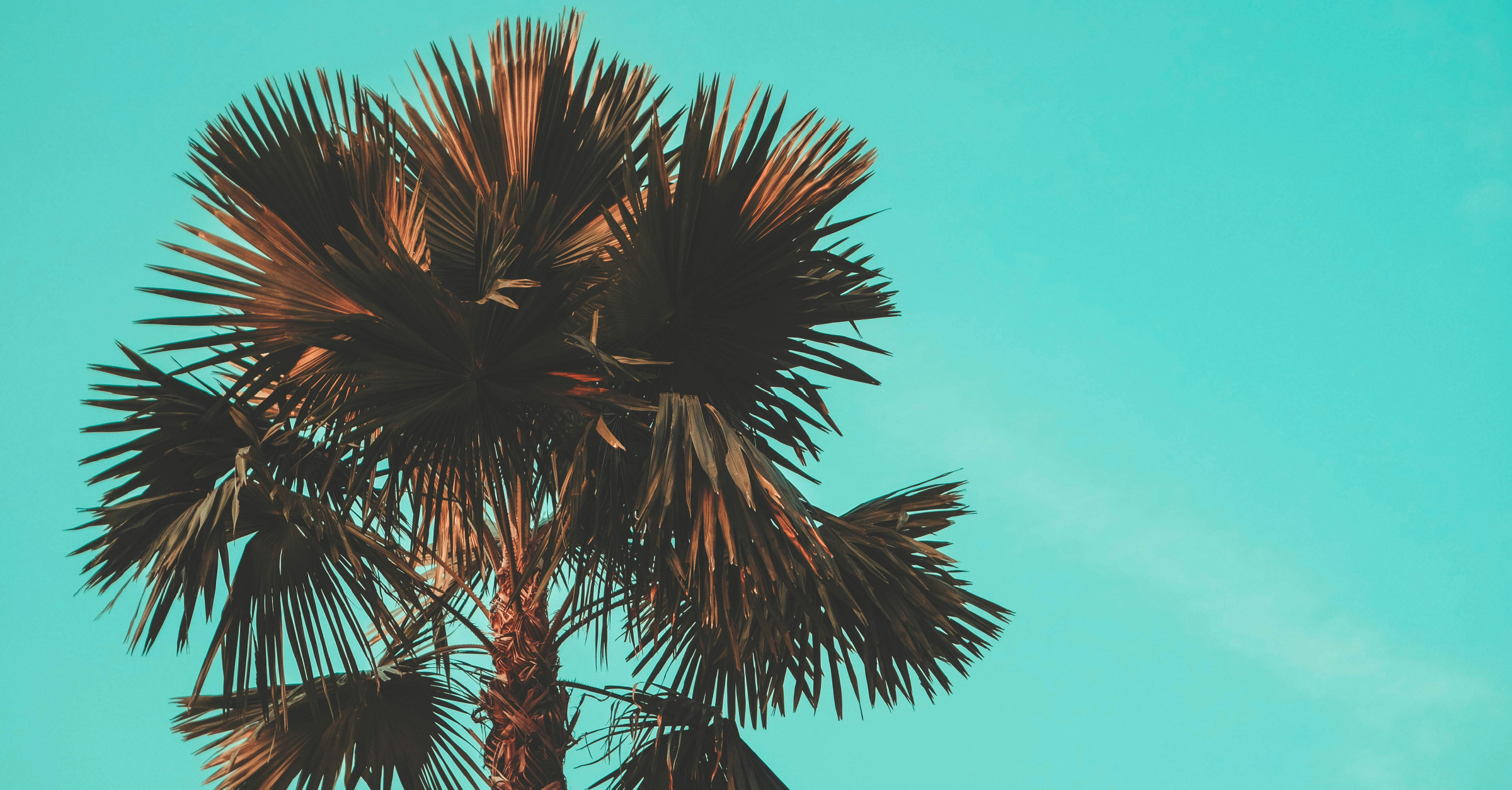 While Everyone Else Disconnects, Reconnect