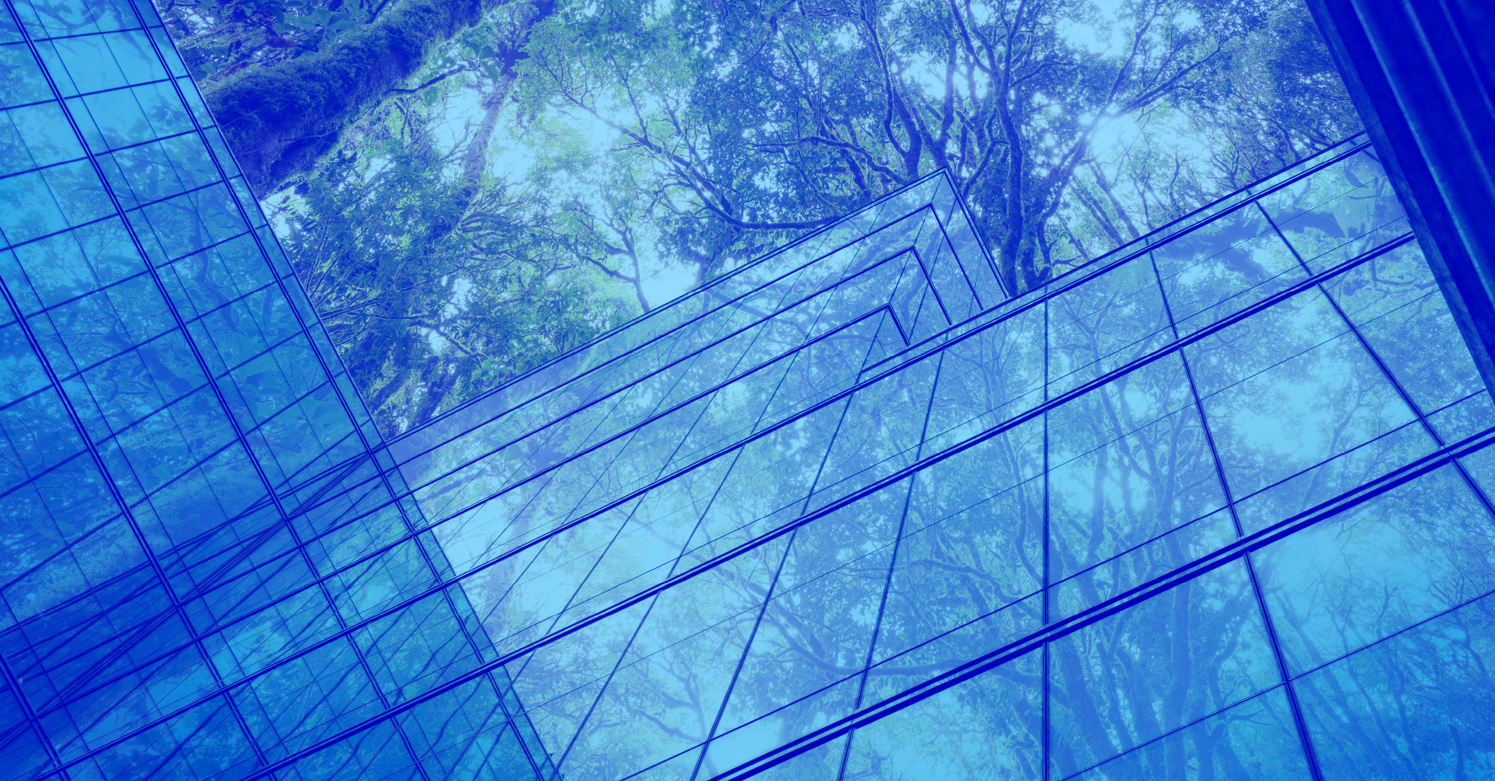 Modern Means Sustainable, Are You Keeping Up?