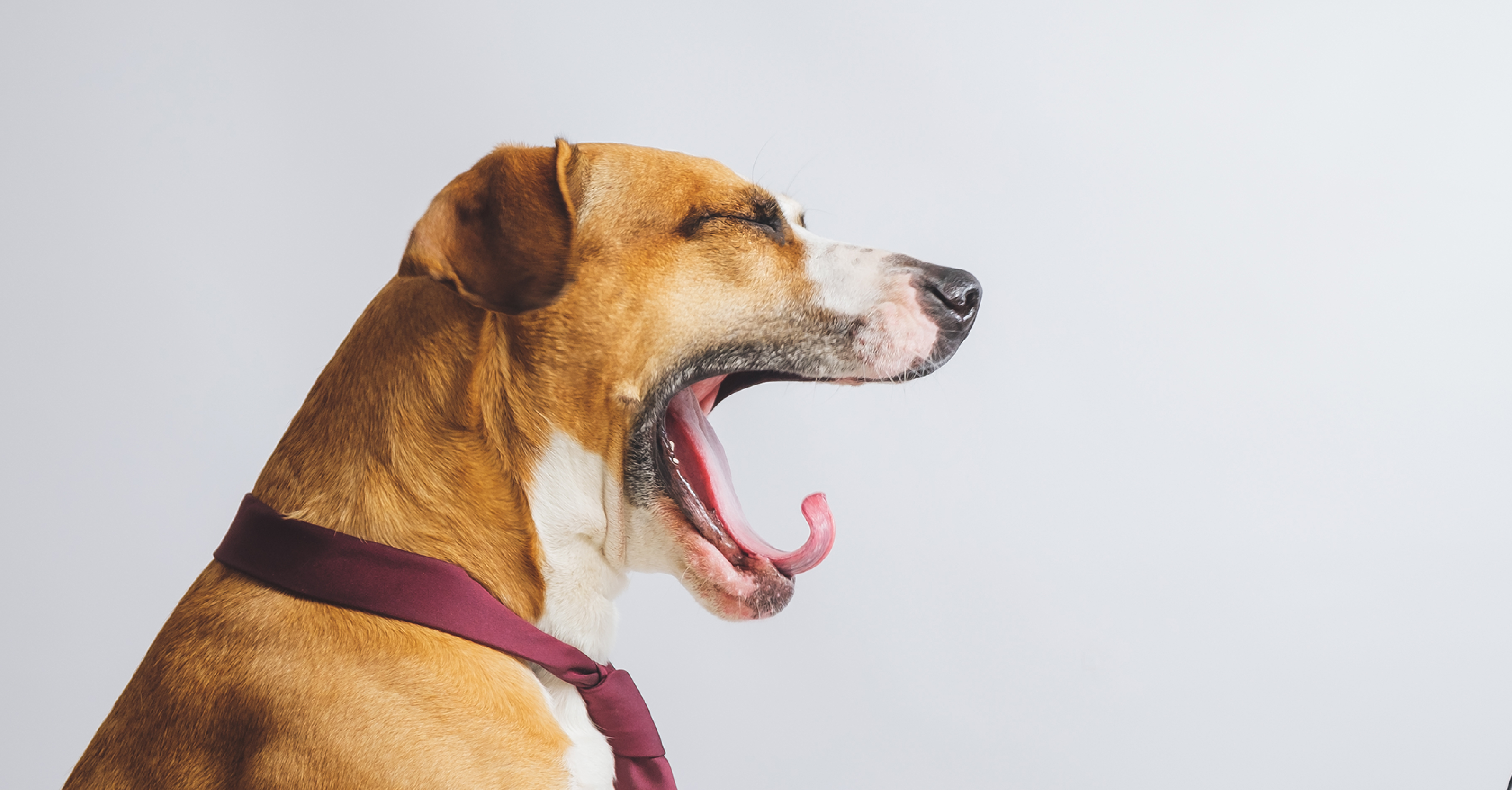 Being Less ‘Vanilla’ in Business