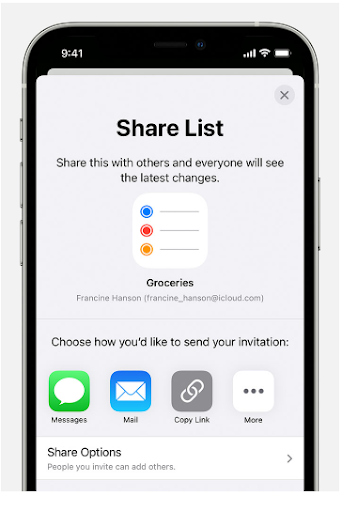 iPhone Reminders Share List screen with invitation options and Share Options at the bottom