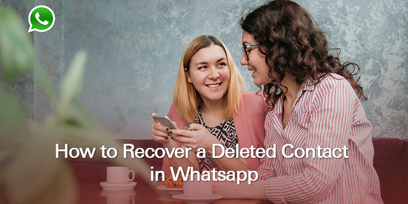 How to Recover a Deleted Contact on WhatsApp
