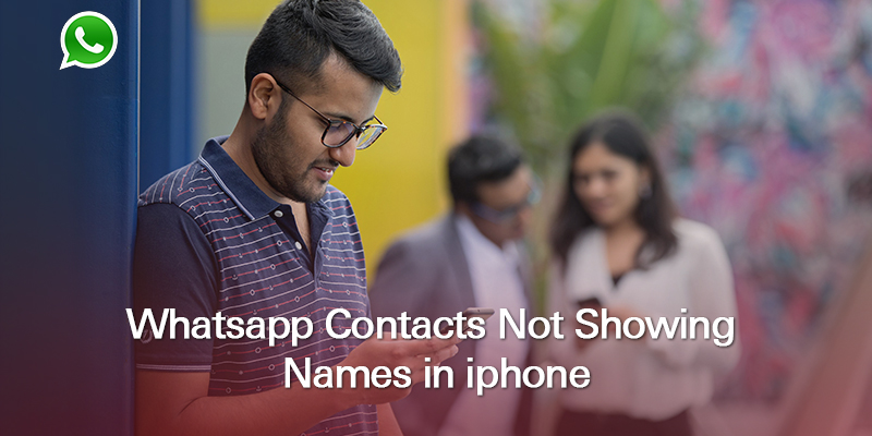 WhatsApp Contacts Not Showing Names on iPhone