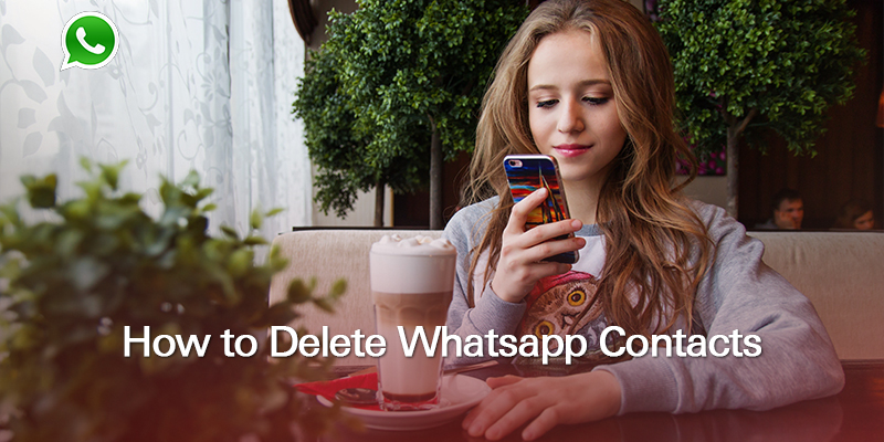 How to Delete WhatsApp Contacts - Covve